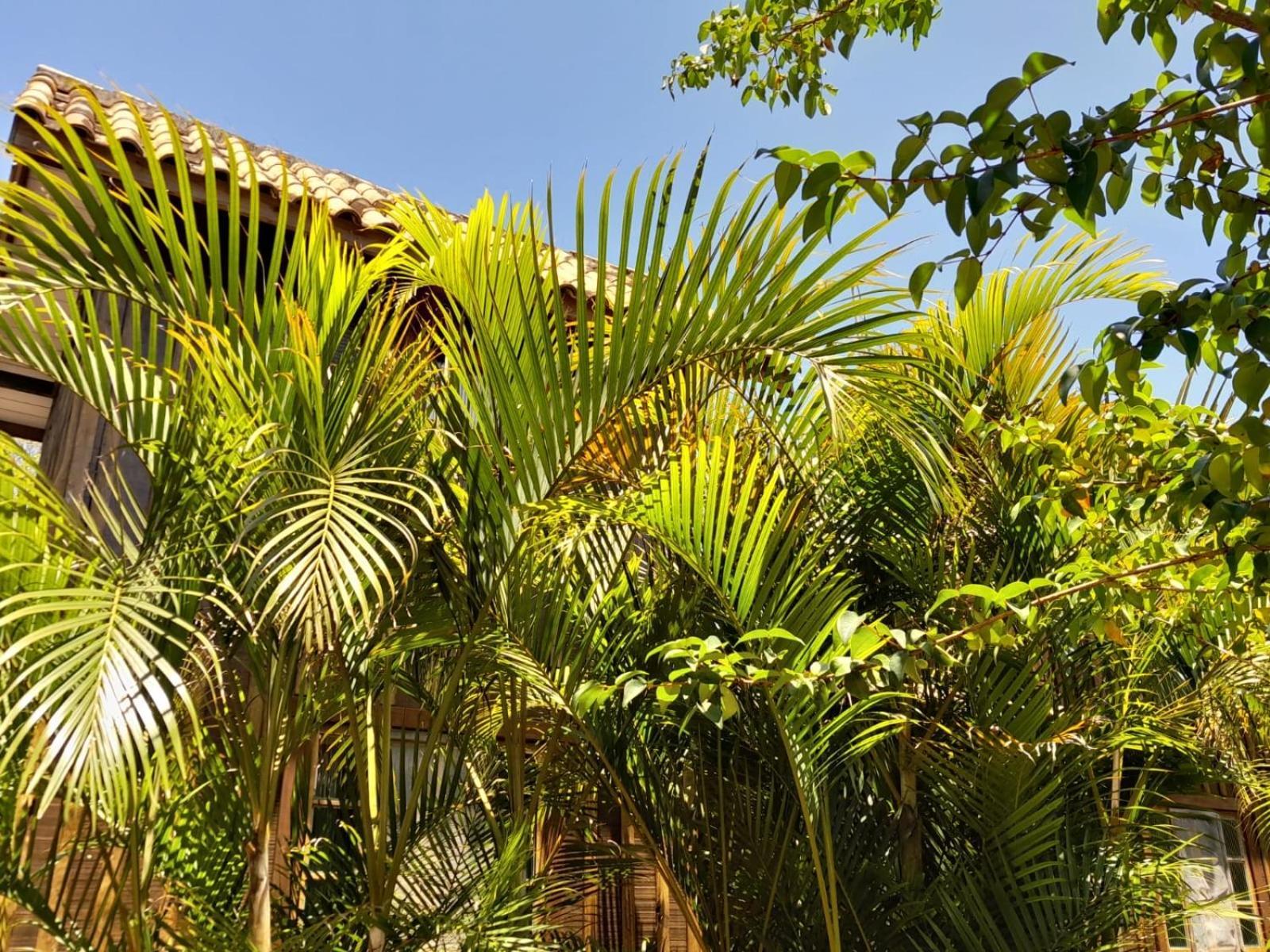 Recanto Das Bromelias Chales Guarda do Embaú Zewnętrze zdjęcie